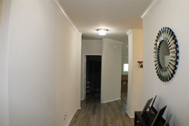 hall featuring ornamental molding and dark hardwood / wood-style floors