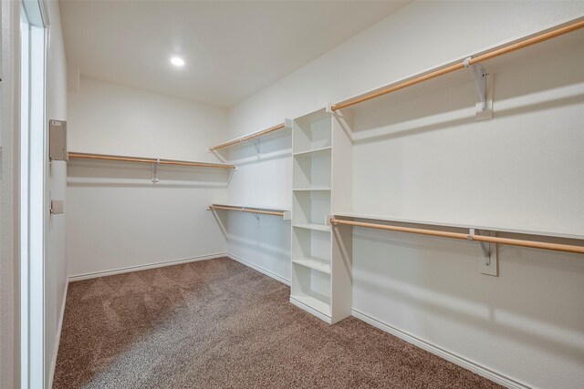 spacious closet with carpet