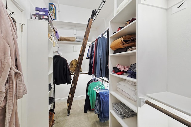 spacious closet featuring light carpet