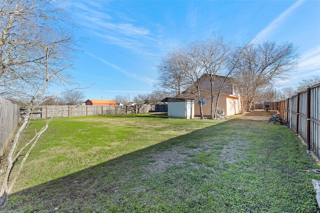 view of yard featuring a storage shed