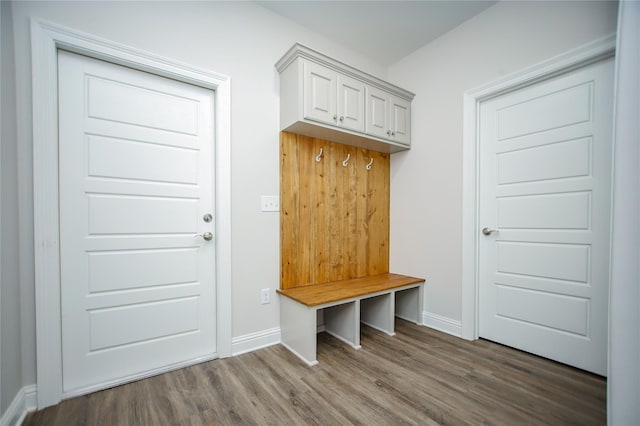 mudroom featuring dark hardwood / wood-style floors