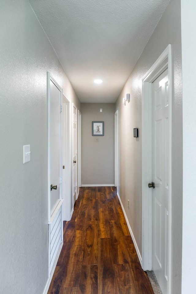 hallway featuring dark wood-type flooring