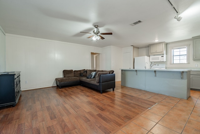 living room with ceiling fan, rail lighting, and light wood-type flooring