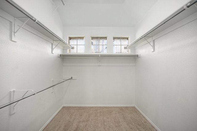 spacious closet with carpet