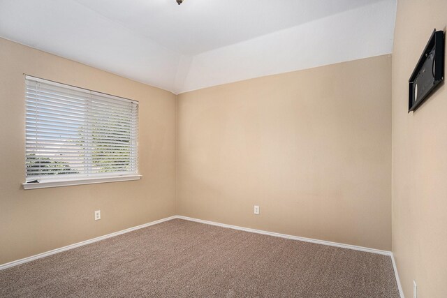 walk in closet with carpet