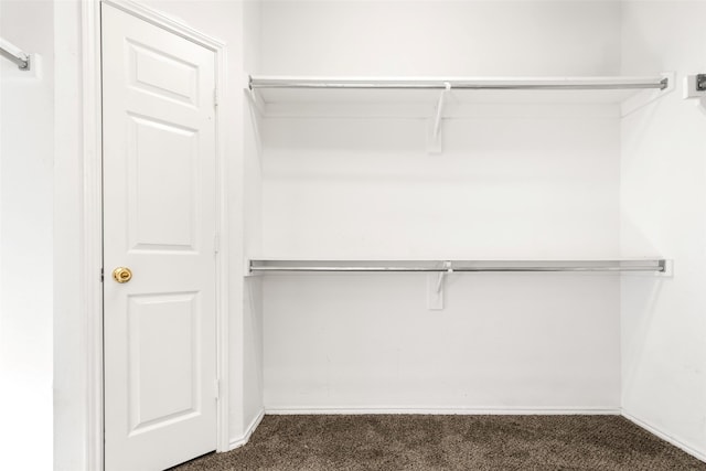 walk in closet with dark carpet