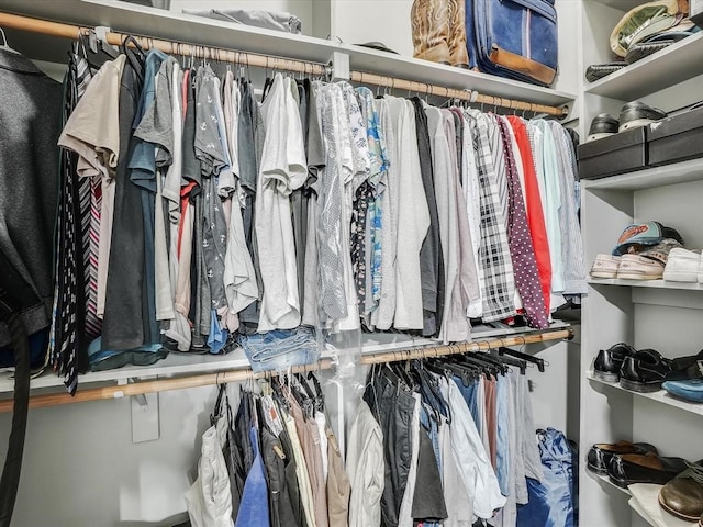 view of spacious closet