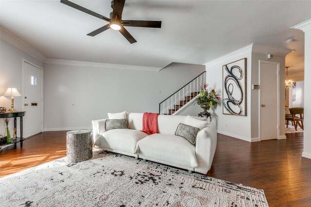 living room with ceiling fan with notable chandelier, dark wood-type flooring, and ornamental molding