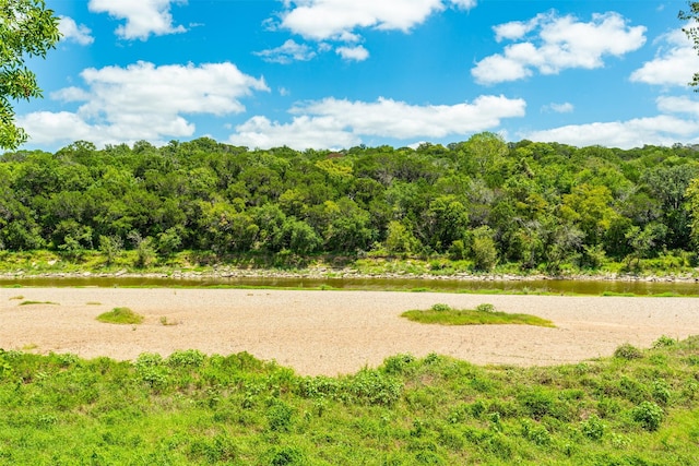 view of property's community