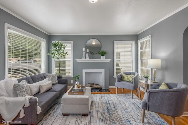 living room featuring crown molding and hardwood / wood-style floors