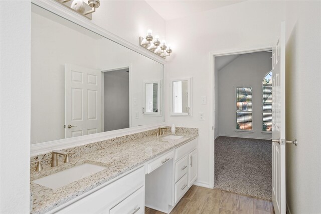 bathroom with vanity and wood-type flooring