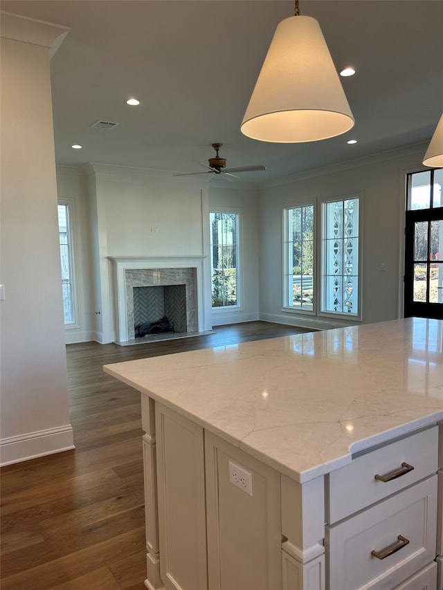 kitchen with ornamental molding, light stone counters, dark wood finished floors, white cabinetry, and a fireplace