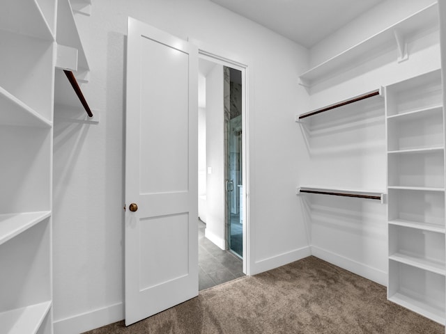 170 Fan Mill Trl, Weatherford, TX 76085 - walk in closet with carpet
