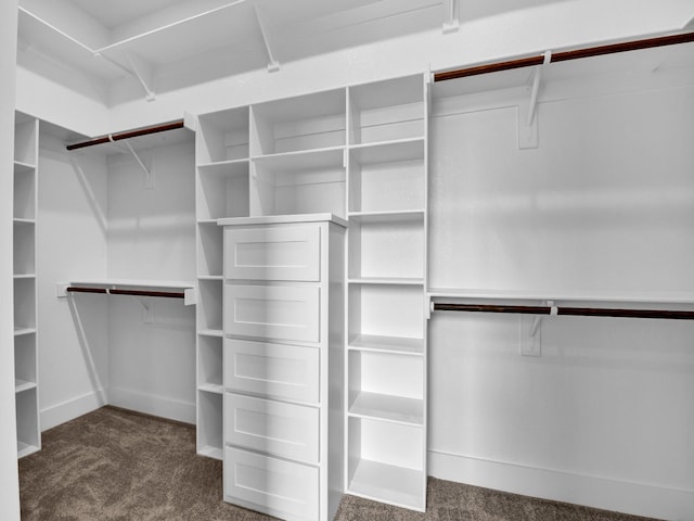 walk in closet with dark carpet