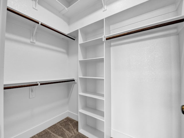 170 Fan Mill Trl, Weatherford, TX 76085 - walk in closet with dark colored carpet