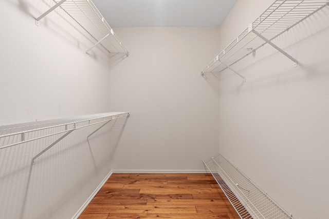 walk in closet featuring hardwood / wood-style flooring