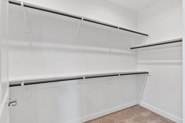 walk in closet featuring light colored carpet