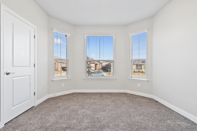 unfurnished room featuring carpet and a healthy amount of sunlight