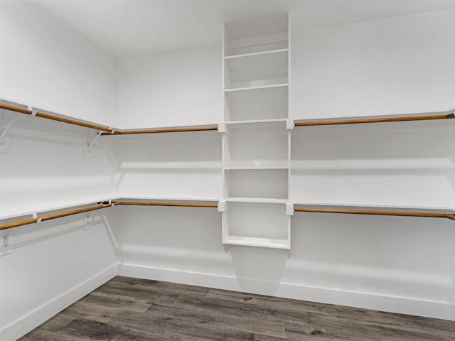 walk in closet featuring dark hardwood / wood-style flooring