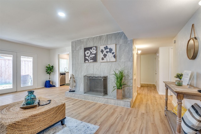 living room featuring sink, wood-type flooring, and a fireplace