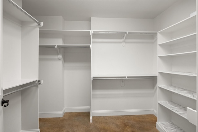 spacious closet featuring carpet