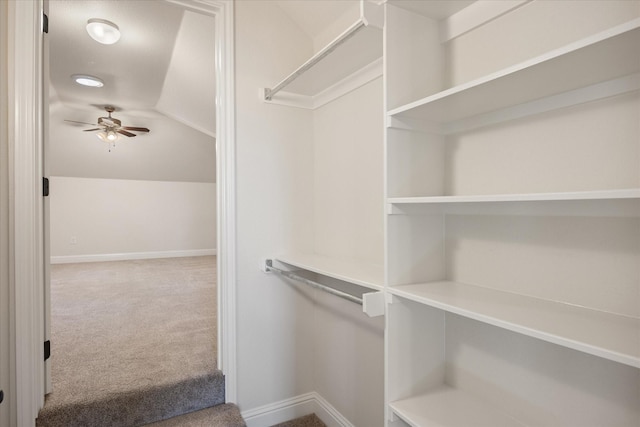 spacious closet with carpet and ceiling fan