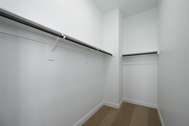 spacious closet featuring carpet flooring