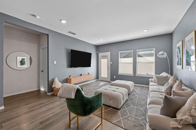 living room featuring wood-type flooring