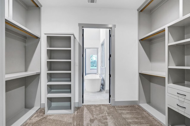 walk in closet featuring carpet floors