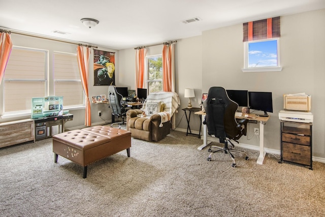 carpeted office featuring a wealth of natural light