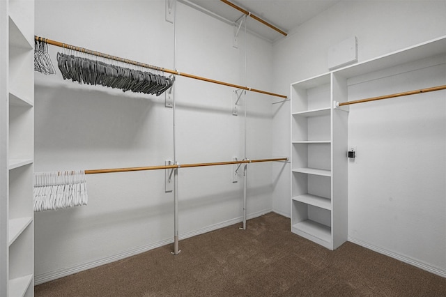 walk in closet with dark carpet