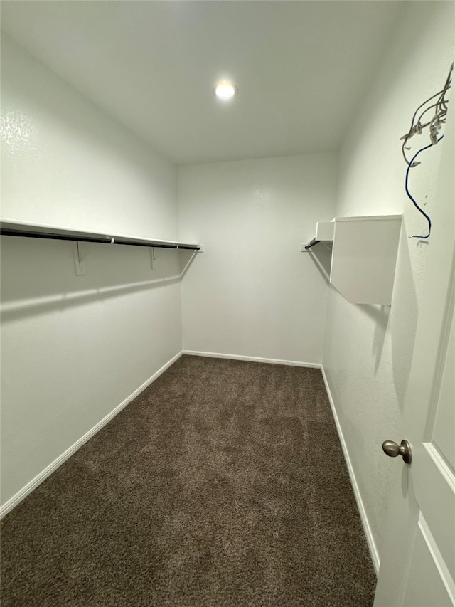 spacious closet featuring dark colored carpet