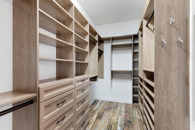 spacious closet featuring light hardwood / wood-style flooring