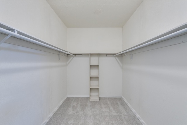 spacious closet featuring light colored carpet