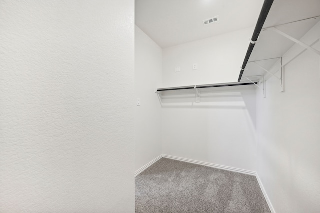 spacious closet featuring carpet floors