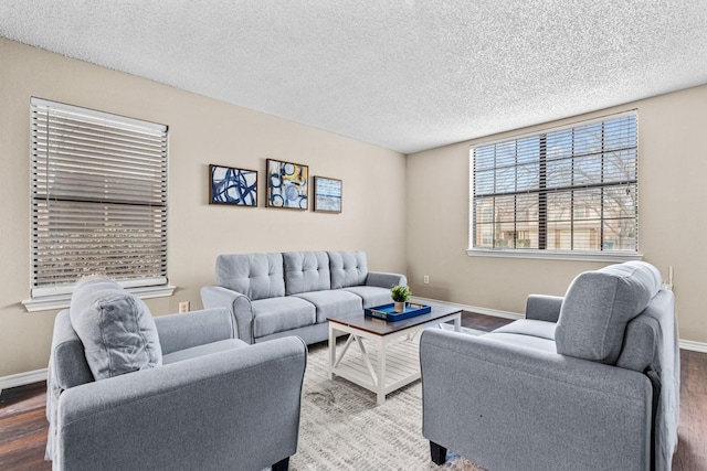 living room featuring wood-type flooring and a textured ceiling