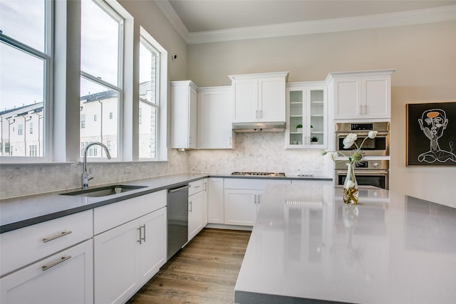 kitchen featuring white cabinetry, sink, crown molding, wood-type flooring, and appliances with stainless steel finishes