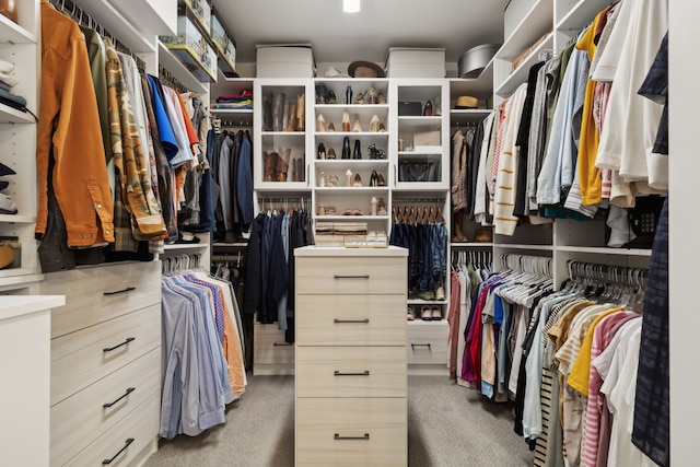 walk in closet featuring carpet