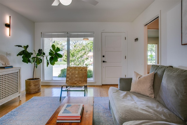 living room with light hardwood / wood-style flooring and ceiling fan