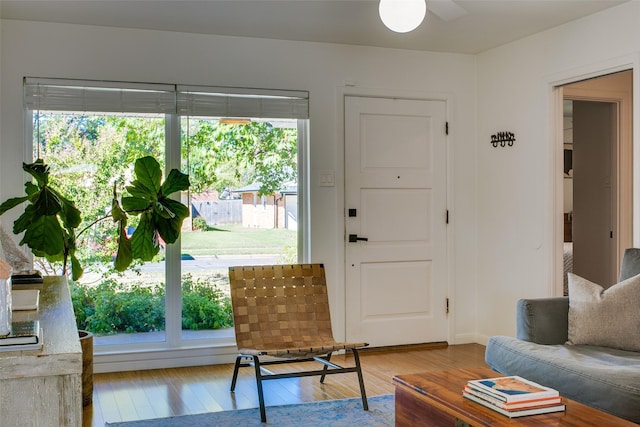 living room with a healthy amount of sunlight and light hardwood / wood-style floors