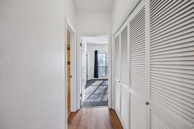 corridor with dark hardwood / wood-style flooring