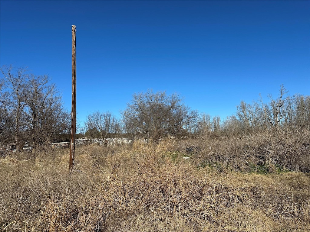 view of local wilderness