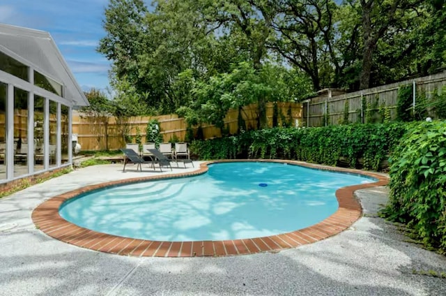 view of swimming pool featuring a patio