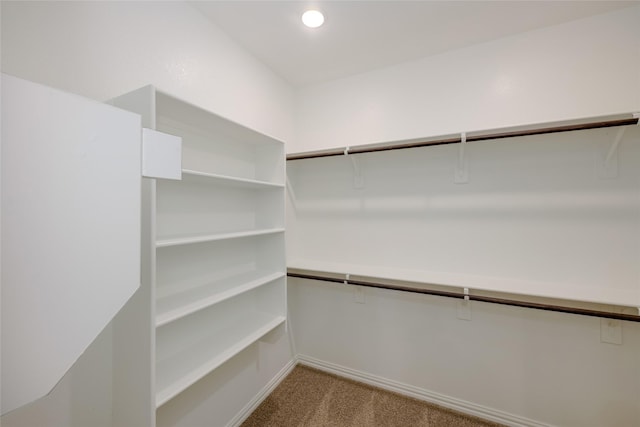 walk in closet featuring light colored carpet