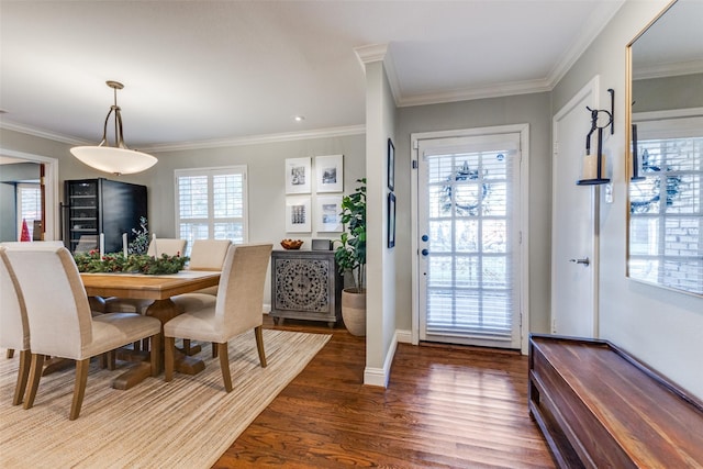 dining room featuring plenty of natural light, dark wood-type flooring, and ornamental molding