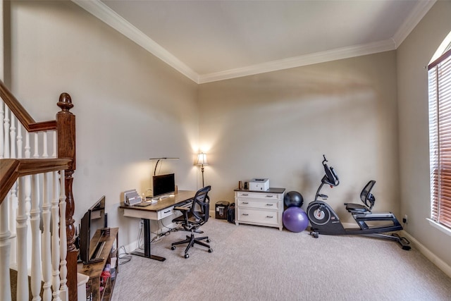 carpeted office space featuring crown molding