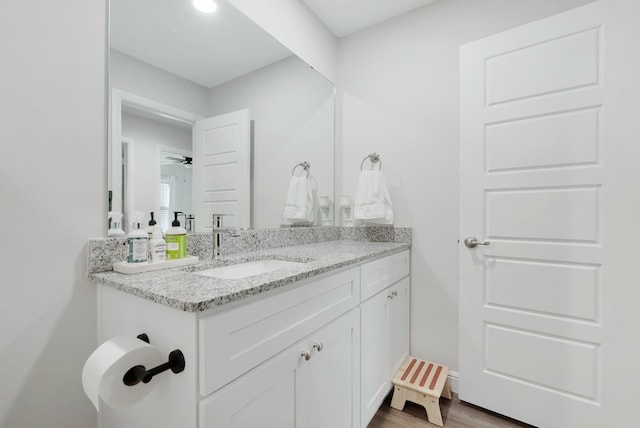 bathroom featuring wood-type flooring and vanity