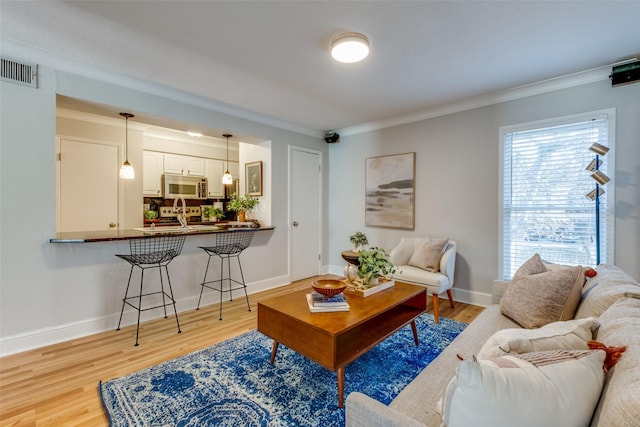 living room featuring light hardwood / wood-style floors and ornamental molding