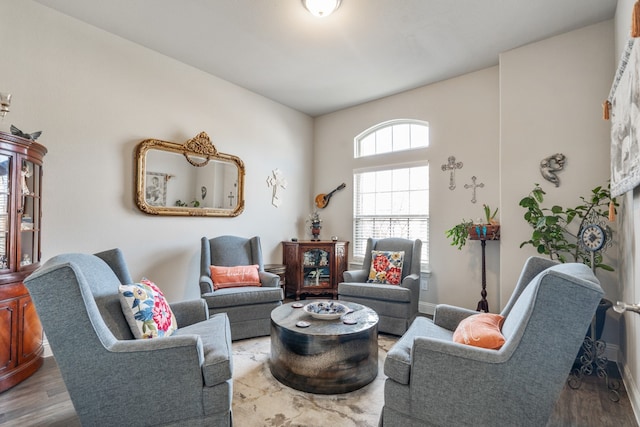 living room featuring hardwood / wood-style flooring