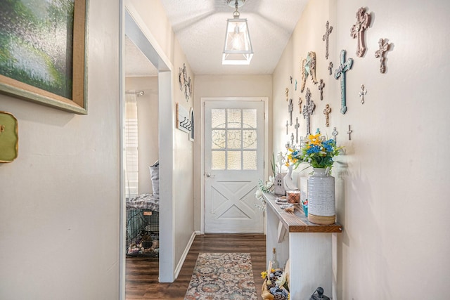 doorway to outside featuring dark hardwood / wood-style flooring and a textured ceiling